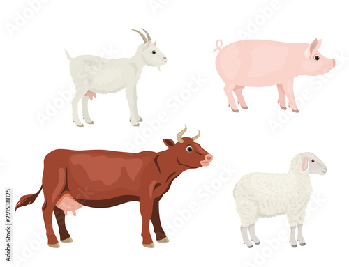 Farm animals set. Vector illustration of a cow  goat  sheep and pig isolated on a white background. Cartoon simple flat style.