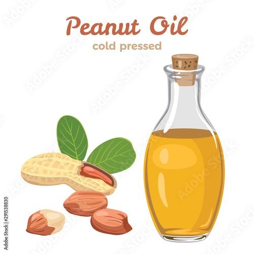 Peanut oil in glass bottle isolated on white background. Vector illustration of peanuts and green leaves in cartoon simple flat style.
