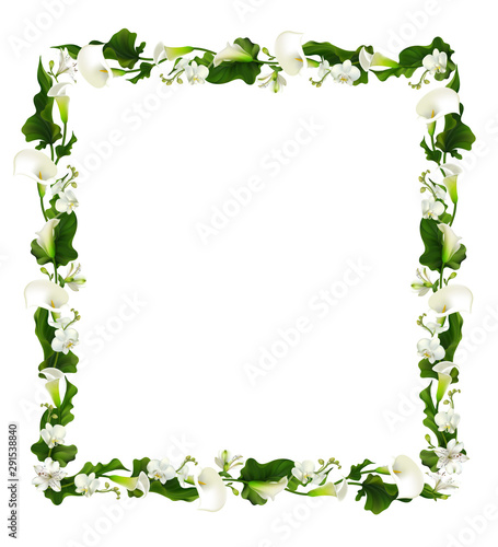 White flowers. Floral background. Leaves. Callas. Orchids. Lilies.