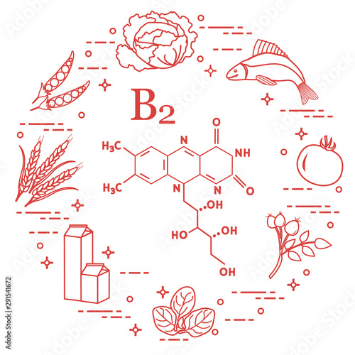 Foods rich in vitamin B2. Fish, peas and other.
