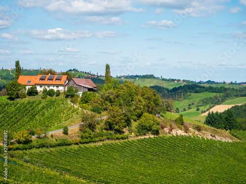 Weinberge in der Südsteiermark im Spätsommer