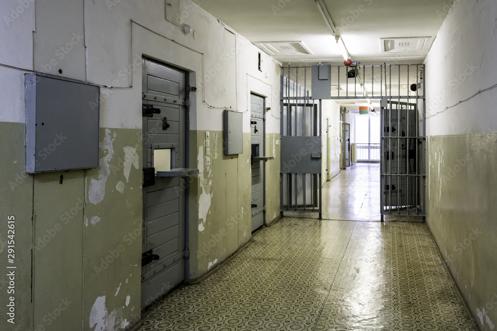 Penitentiary jail - obrazy, fototapety, plakaty 