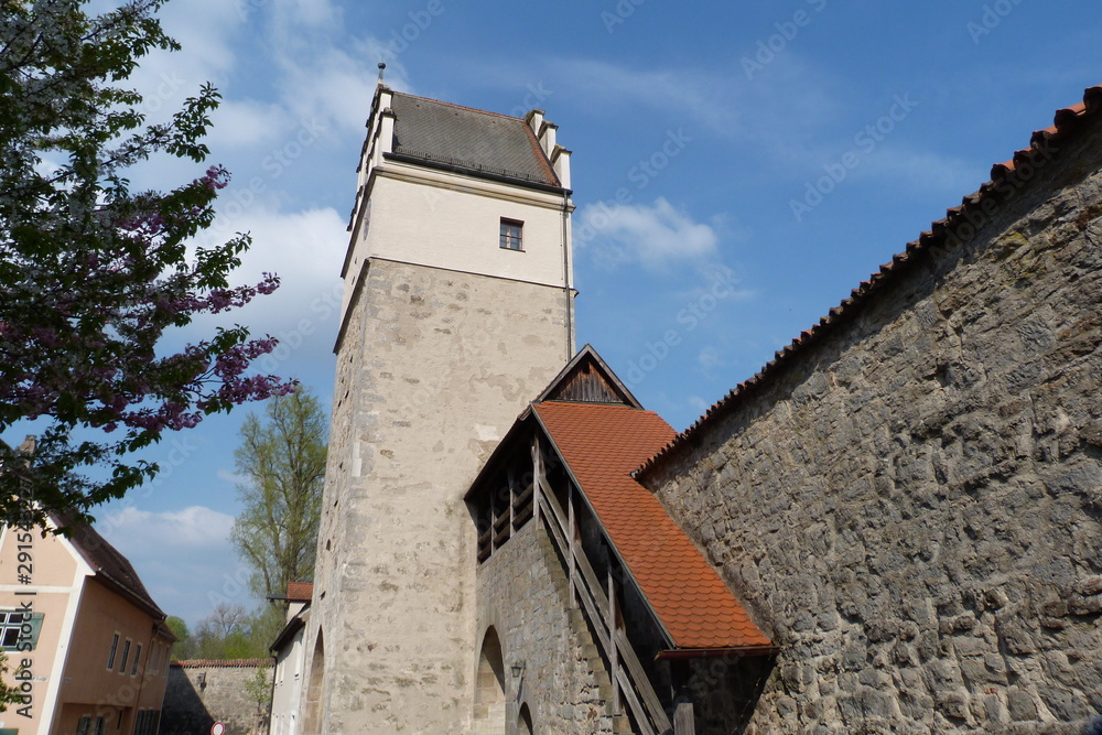 Turm an Stadtmauer Nördlinger Tor Dinkelsbühl