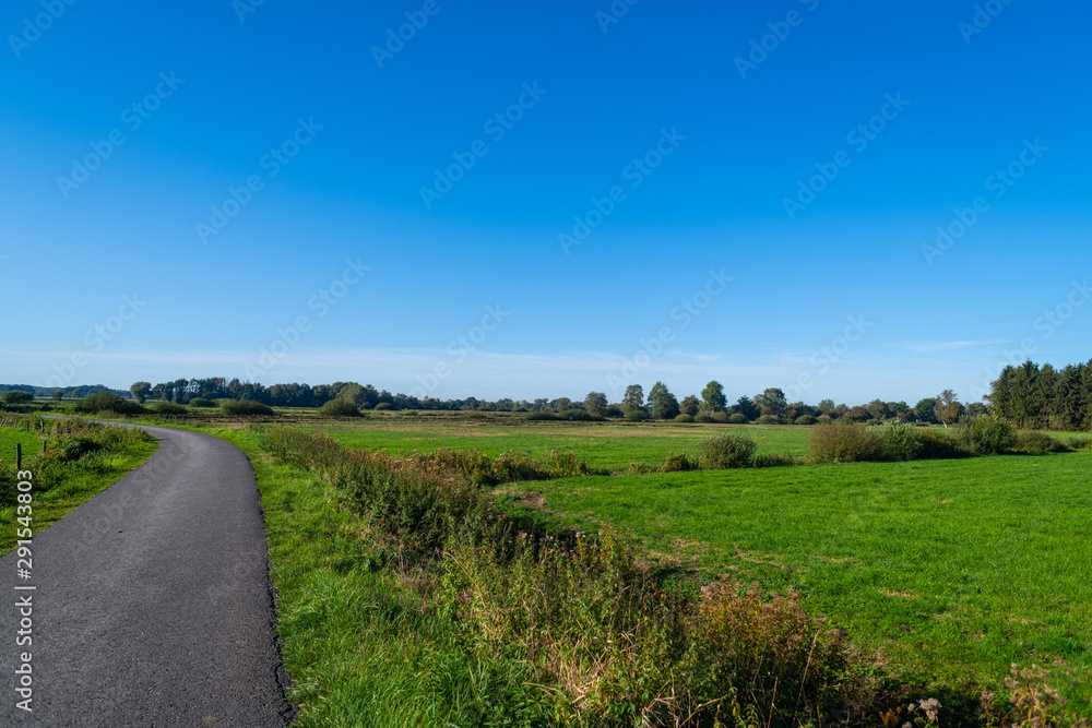 a walk through nature  and the fields in the blue sky and bright sunshine