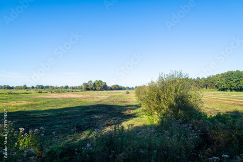 a walk through nature  and the fields in the blue sky and bright sunshine