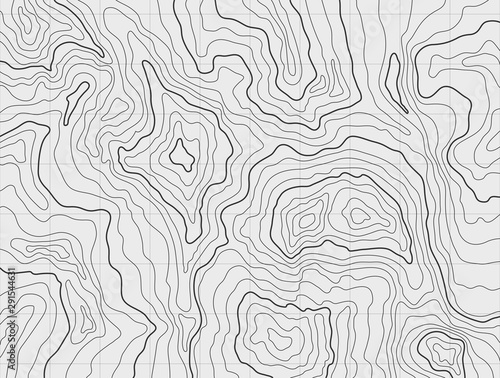 Topographic Map Vector Background photo