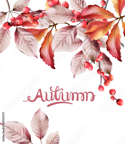 Watercolor autumn leaves and red berries bouquet background vector
