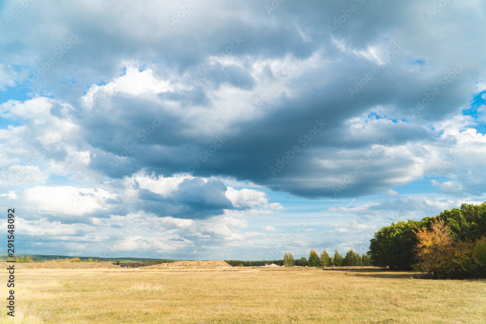 panorama of the summer landscape in the field