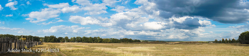panorama of the summer landscape in the field