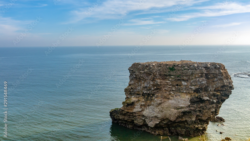 Large eroded rock with seagulls perched on it sitting on a calm North Sea near Souter Lighthouse, Whitburn, Sunderland, Tyne and Wear, England UK.