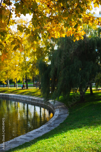 Fototapeta Naklejka Na Ścianę i Meble -  City park in the fall. City landscape in the fall season.