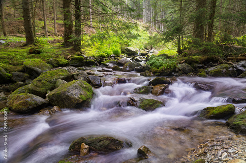 Beautiful nature - forest mountain river. Slovakia