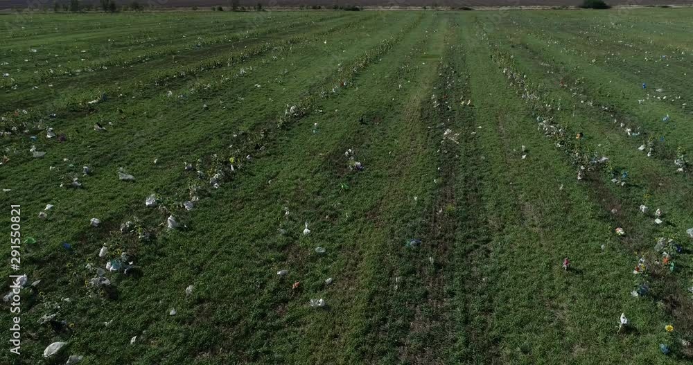 Field contaminated with plastic bags Field contaminated with plastic bags