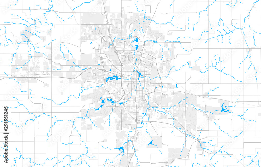 Fototapeta Bogata szczegółowa mapa wektorowa Rochester, Minnesota, USA