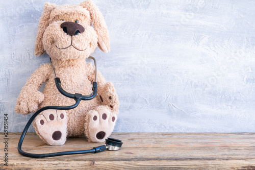 Stuffed Dog animal presented as a pediatrician holding a stethoscope with copy space