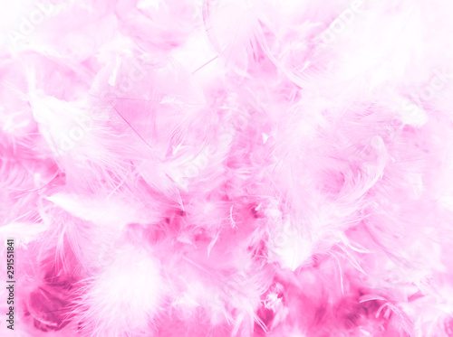 Beautiful closeup textures abstract colorful dark black white red and pink feathers and white pattern feather background and wallpaper