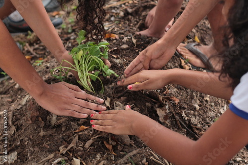 Mãos de crianças plantando na horta