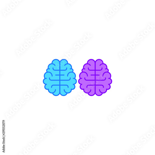 Brain vectors