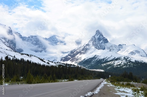 Scenic drive in the Canadian Rockies