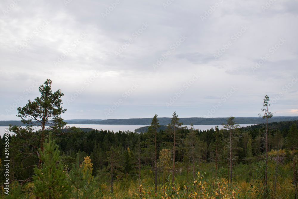 view in the mountains on a boreal forest and a lake