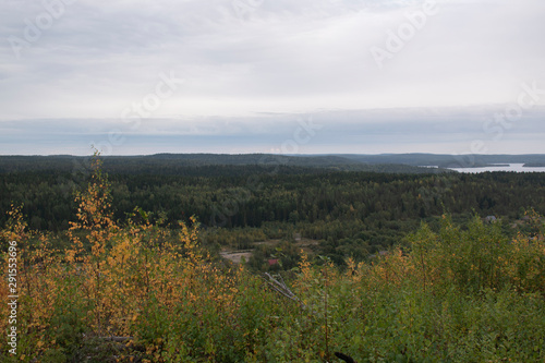 view in the mountains on a boreal forest