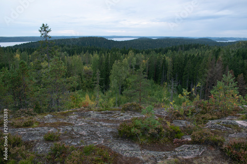 view in the mountains on a boreal forest