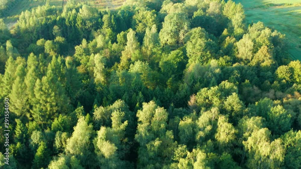 early autumn from the air early autumn from the air