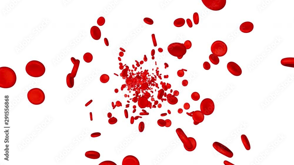 3D rendered Animation of Red blood cells floating in the blood stream isolated on white. 3D rendered Animation of Red blood cells floating in the blood stream isolated on white.