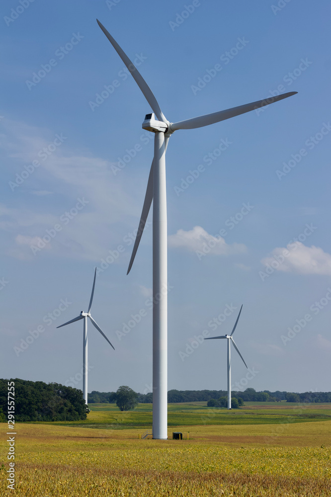 Wind turbines coexisting among agricultural crops on a sunny autumn day Wind turbines coexisting among agricultural crops on a sunny autumn day