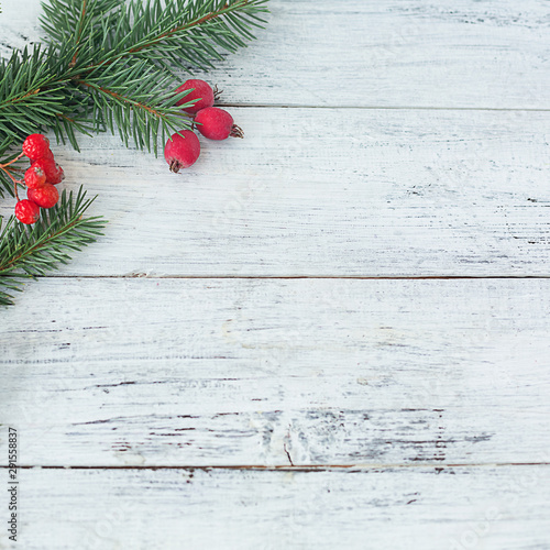 Branches of spruce and red berries on a white wooden square background.