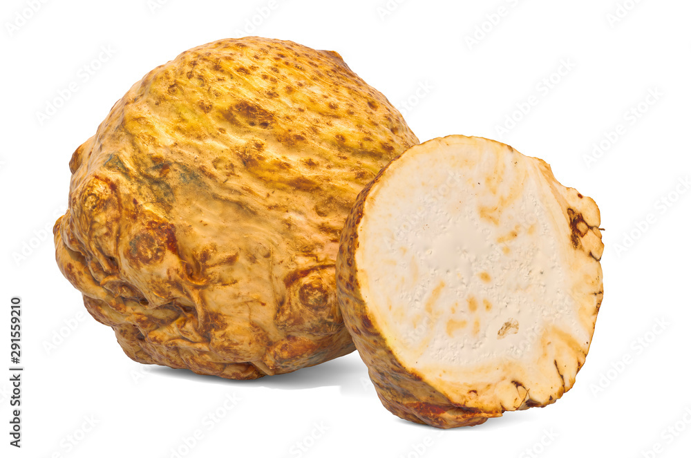 Celery root and its cross-section 3d rendering with realistic texture Celery root and its cross-section 3d rendering with realistic texture