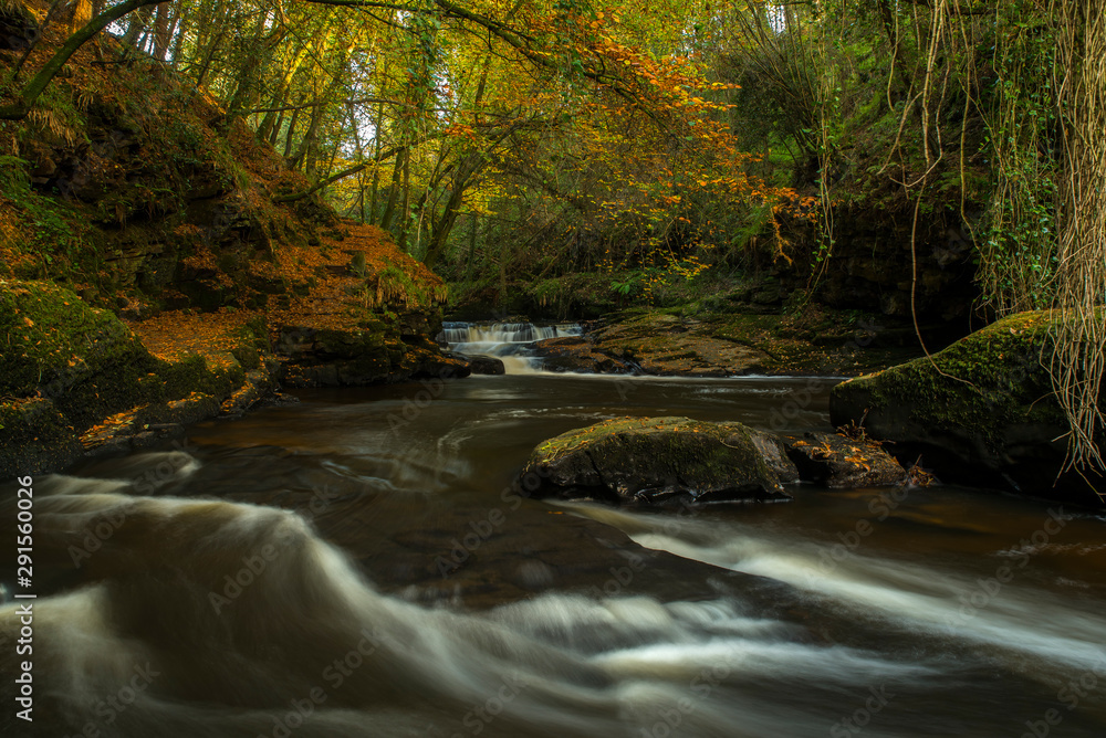 Autumnal woodland scene, shaded river rapids, mossy rocks covered with autumn leaves, and trees in their yellows and browns. Bathed in a gorgeous gold.