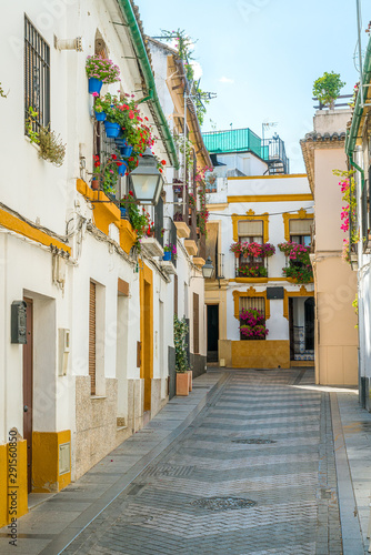 Fototapeta Naklejka Na Ścianę i Meble -  Scenic sight in the picturesque Cordoba jewish quarter. Andalusia, Spain.