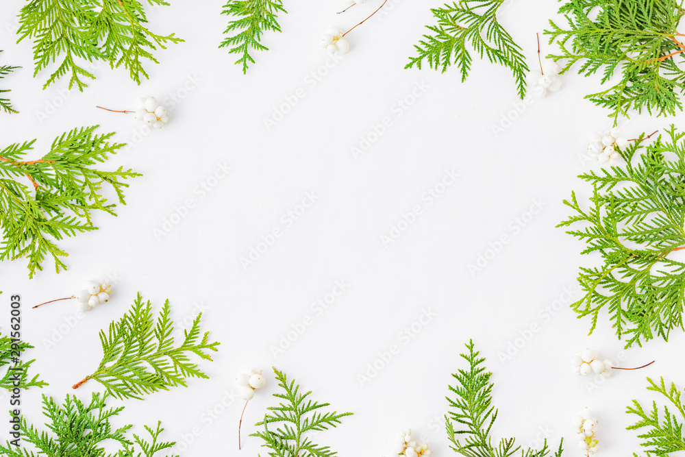 Flat lay christmas frame with evergreen tree branch and berries on a white background Flat lay christmas frame with evergreen tree branch and berries on a white background