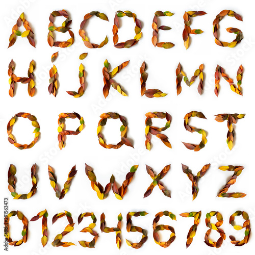 Letters and numbers maked of colorful autumn leaves. Characters made of fall foliage. Autumnal design font concept. Seasonal decorative beautiful type mades from multi-colored leaves. 