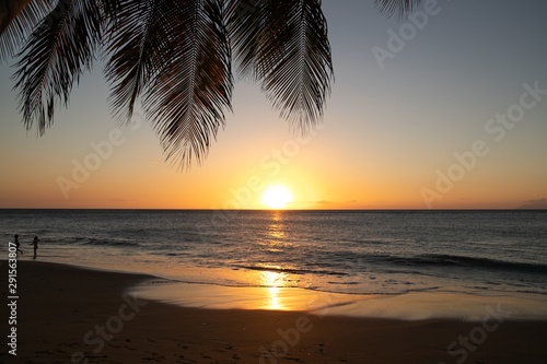 Plage paradisiaque au coucher du soleil - Antilles Guadeloupe
