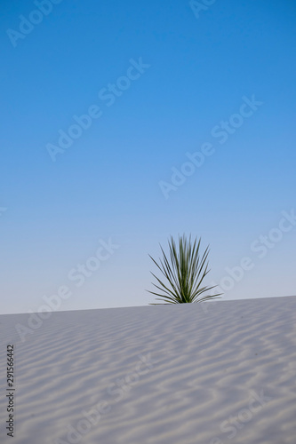 White Sands national monument