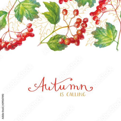 Vector Red viburnum opulus - guelder-rose - branch with leaves and berries - autumn greeting card.