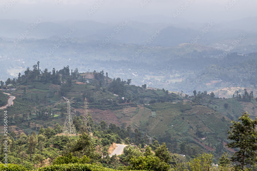 Paysage Sri Lanka - Montagne