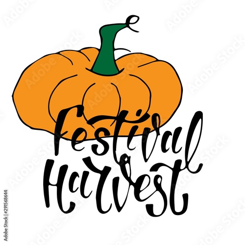 Hand sketched autumn lettering Harvest Festival with pumpkin drawing. Modern brush calligraphy. Handwritten vector illustration isolated on white background for cards, posters, banners, logo, tags.