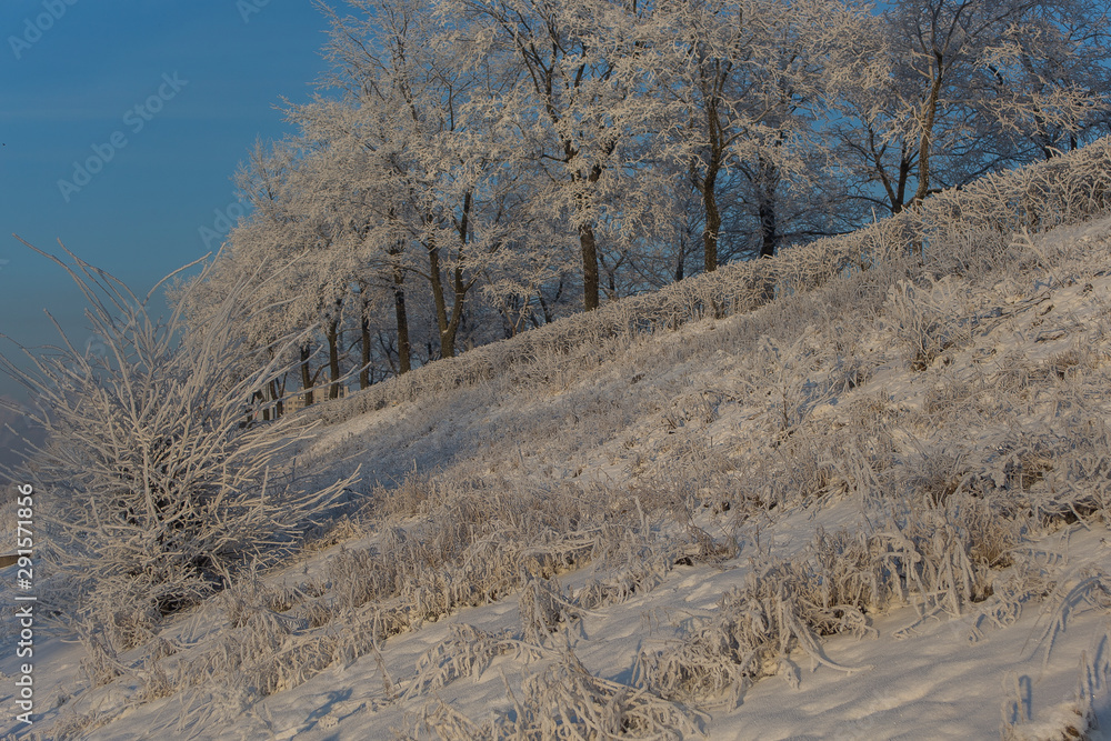 winter landscape with trees and blue sky winter landscape with trees and blue sky