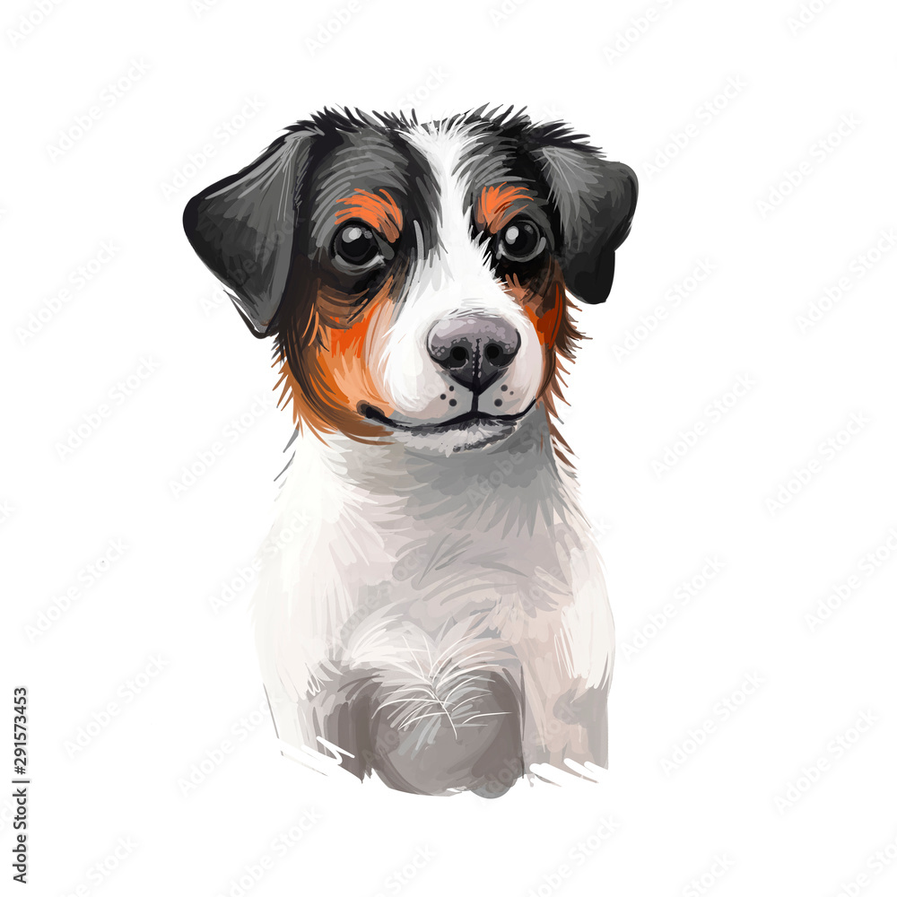 Danish Swedish Farmdog, Scanian terrier dog digital art illustration  isolated on white background. Denmark and Sweden origin guarding dog. Cute  pet hand drawn portrait. Graphic clip art design. Stock Illustration | Adobe