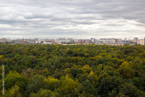 city behind the forest from bird's eye view © hdmphoto
