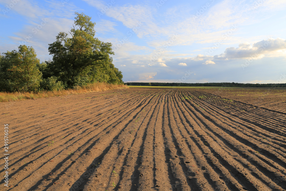 plowed agricultural field in autumn day