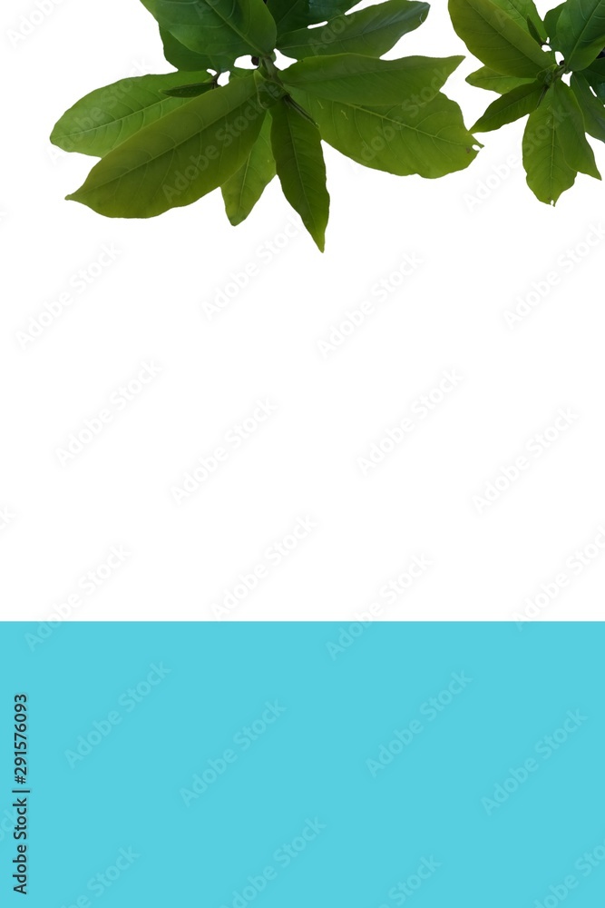 nature pattern design for home clothes and home wall nature pattern design for home clothes and home wall