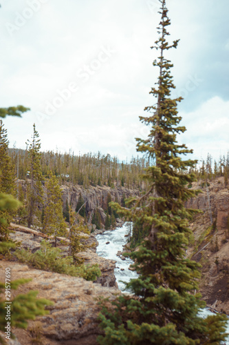 Yellowstone National Park