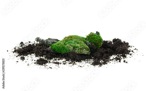 Green moss on soil isolated on a white background