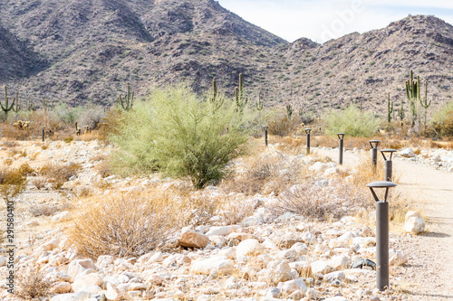 Nature Path in Arizona Desert