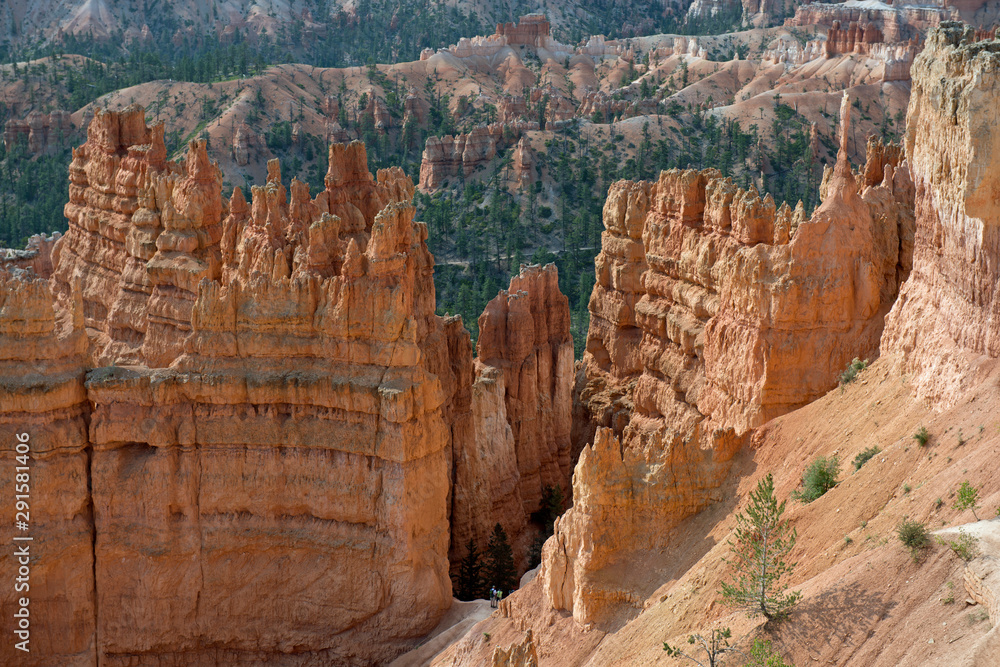 Line of hoodoos in Bryce Canyon with trees behind Line of hoodoos in Bryce Canyon with trees behind