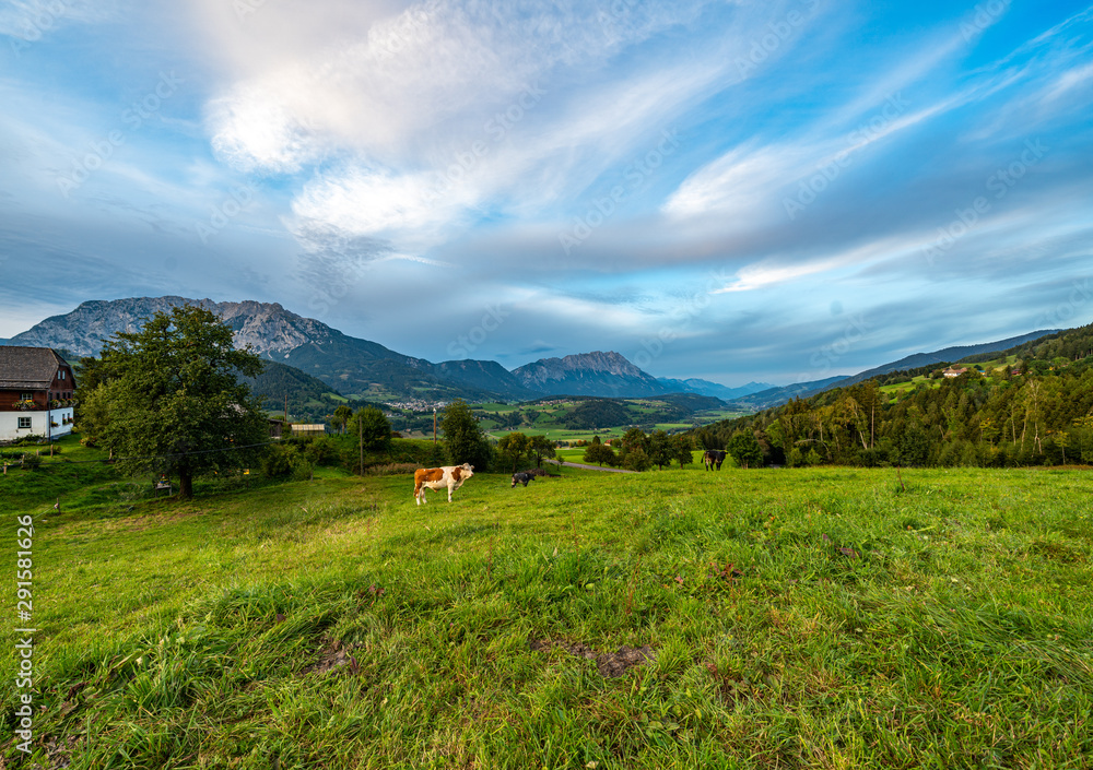 Fototapeta premium Vom Michaelerberg aus